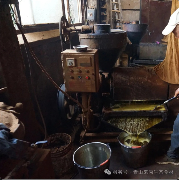 经常买菜籽油的朋友最容易踩的5个坑